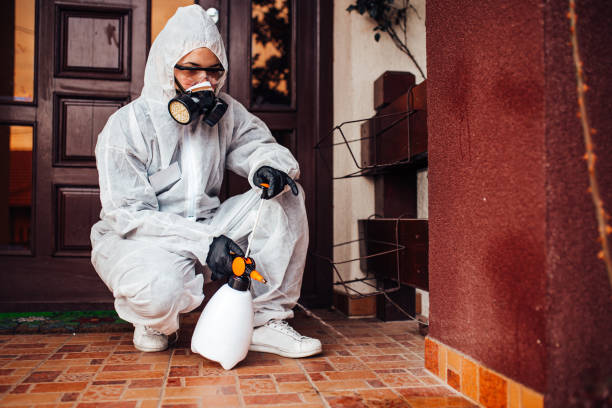 Reliable Wasp Removal contractor in Tazewell, VA by Show Me Pest Control