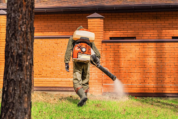 Top rated local Wasp Removal specialists in Tazewell, VA